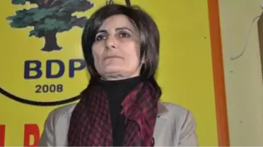 BDP Kars Milletvekili Birtane'nin Basın Toplantısı