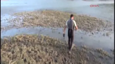 Nehirde Kaybolan Çocuk Aranıyor