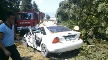Kesilen Ağaç Otomobilin Üzerine Devrildi: 1 Ölü