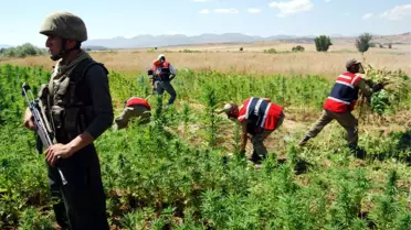 Diyarbakır'da Uyuşturucu Operasyonu Yapıldı