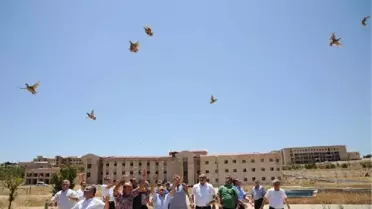 Kahramanmaraş'ta 100 Keklik Doğaya Bırakıldı