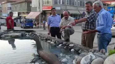 Başkan Baş, Çalışmaları İnceledi