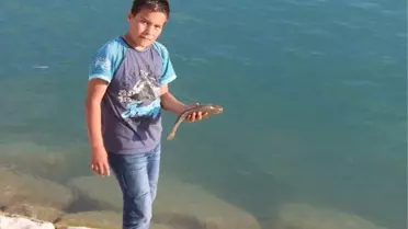 Beyşehir Gölü'nde 'Gümişi Havuz Balığı' Hakimiyeti Ele Geçirdi