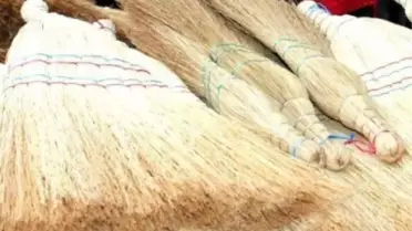 Elektrik Süpürgesinin Bitirdiği Sanat