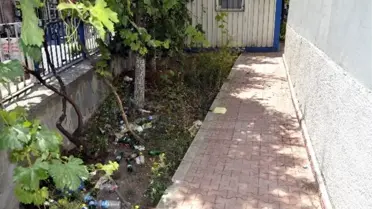 Eski Vergi Dairesi Binası Viraneye Döndü