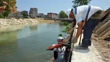Tabakhane Deresinin Çevresi Hızla Değişmeye Devam Ediyor