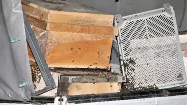 Gümüşhane'de Feci Kaza: 1 Ölü, 3 Yaralı