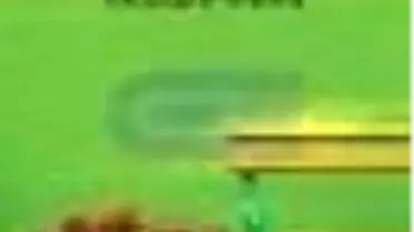 Rica Etsem Saçımı Okşar Mısınız? Kitabı