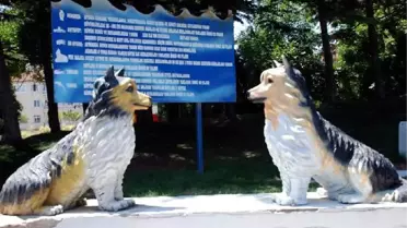 Kayseri'de Yapay Hayvanat Bahçesi Büyük İlgi Gördü