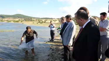 İç Suları Balıklandırma Çabası Sürüyor
