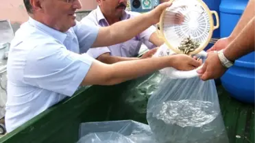 Manisa'da Göletlere 150 Bin Yavru Balık Bırakıldı
