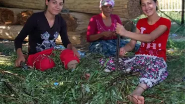 Sepet Ören Roman Kızlar Harçlıklarını Biriktiriyor