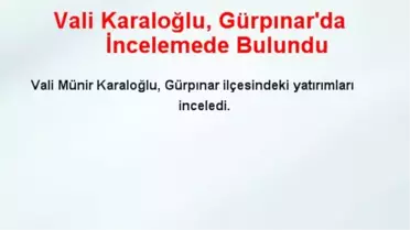 Vali Karaloğlu, Gürpınar'da İncelemede Bulundu