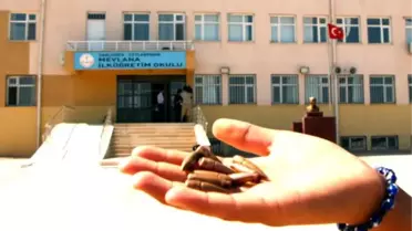 Ceylanpınar Tedirgin (2)