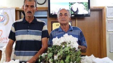 Adana'da Sezonun İlk Kütlü Pamuğu Satıldı