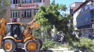 Burdur'daki Ağaç Kesme Tartışması