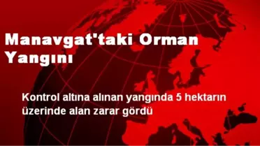 Manavgat'taki Orman Yangını
