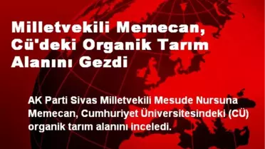 Milletvekili Memecan, Cü'deki Organik Tarım Alanını Gezdi