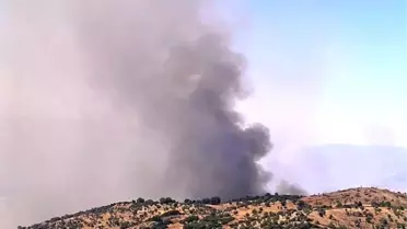 Yenipazar'daki Yangın Kontrol Altına Alındı