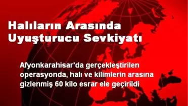 Halıların Arasında Uyuşturucu Sevkiyatı