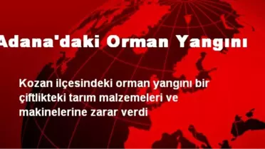 Adana'daki Orman Yangını