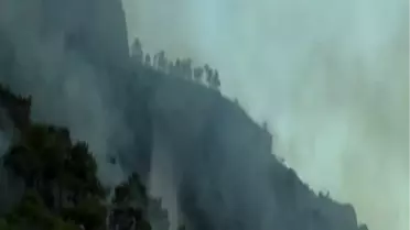 Muğla'da Orman Yangını Güçlükle Söndürüldü