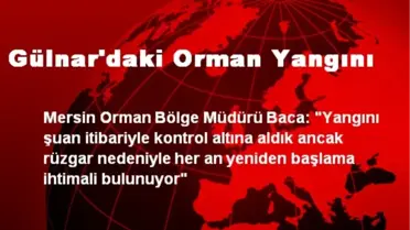 Gülnar'daki Orman Yangını