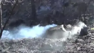 Kozan'da Orman Yangını