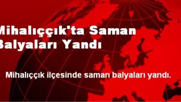 Mihalıççık'ta Saman Balyaları Yandı