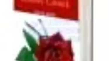 Aşka Kurban Gitmek Kitabı