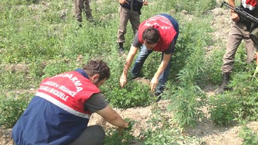 Çankırı'da Uyuşturucu Operasyonu
