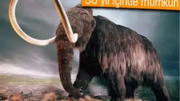 Koyun Dolly'yi Klonlayan Uzman: Mamut da Klonlanır