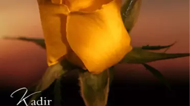 Kadir gecesi ne anlama geliyor ? Kadir gecesi'nde neler yapmak gerekiyor? Kadir gecesi detayları ve Kadir gecesi mesajları..