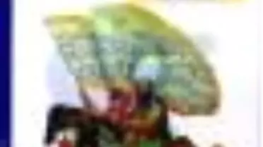 Edirne'den Viyana Kapılarına Kadar Türklerden Kalan Kitabı