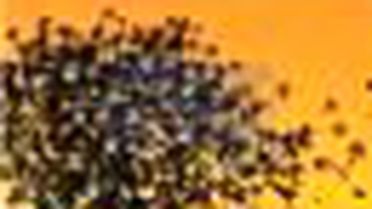 İçimdeki Çocuğun İçindeki Tanrı Kitabı