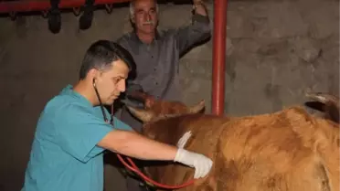 Mezbahanede Kesim Denetimleri Yapıldı