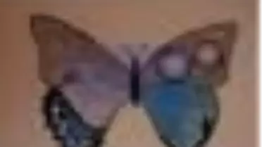 Kelebekler Işığa Gider Kitabı