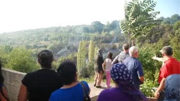 Ereğli'de İki Ayrı Bölgede Orman Yangını Çıktı