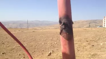 34 Bin Voltluk Elektrik Kablolarını Çalmaya Kalkıştılar