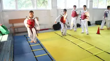 Minik Şöhretler, Türkiye Şampiyonası'na Hazır