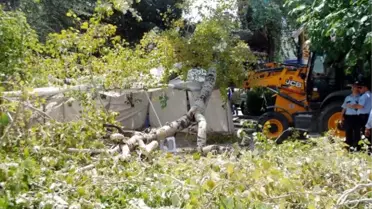 Isparta'da Kırılan Ağacın Dalı Kızılay Çadırına Düştü