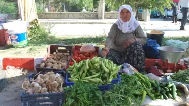 Yüzde Yüz Doğal Ürünlere Rağbet Artıyor