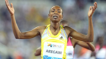 14. Dünya Atletizm Şampiyonası