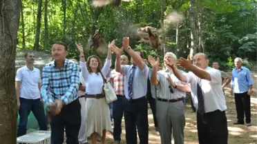 Kartepe'de 500 Sülün Doğaya Salındı
