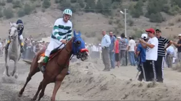 Tosya'da At Yarışları Düzenlendi