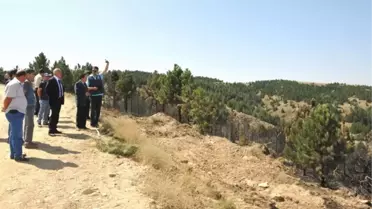 Vali Balkanlıoğlu Yanan Orman Alınanda İncelemelerde Bulundu