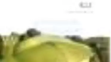 Dağın Tepesindeki Kız Kitabı