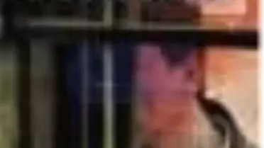 Sözde Terörist Kitabı