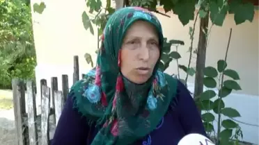 Arazi Paylaşımı Tartışmasında İki Kardeşini Öldürdü
