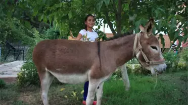 Türkiye Güzeli Eşeği, Vefa Göstermek İçin Sahiplendiler